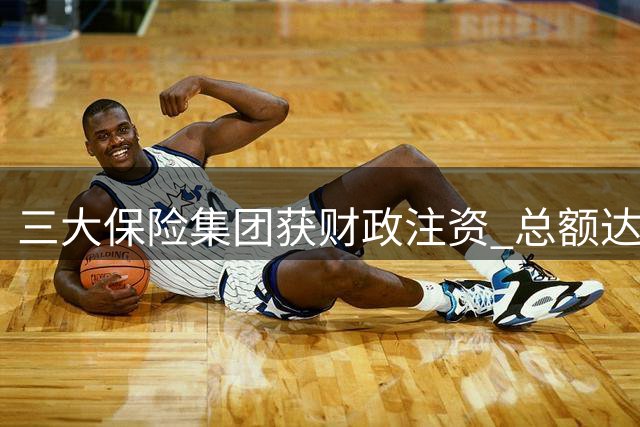 三大保险集团获财政注资 总额达570亿元